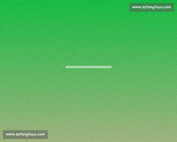 成都蓉城亚冠首秀球衣暗藏国际化密码：胸前英文标识背后的战略突围