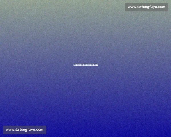 苏超应援团：跨省跨国的超级人脉网络